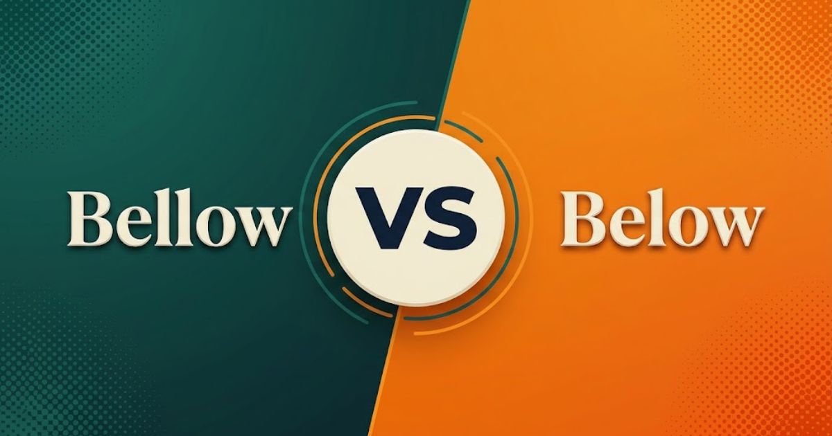 Bellow or Below